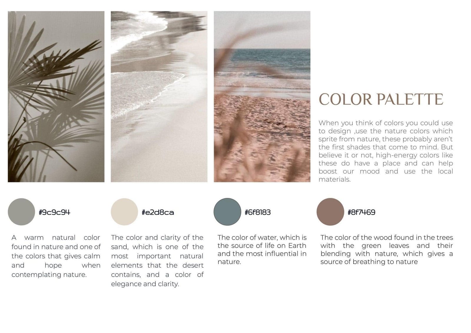 Coastal color-palette board using photographs of vegetation, sand, sea and muted color swatches.
