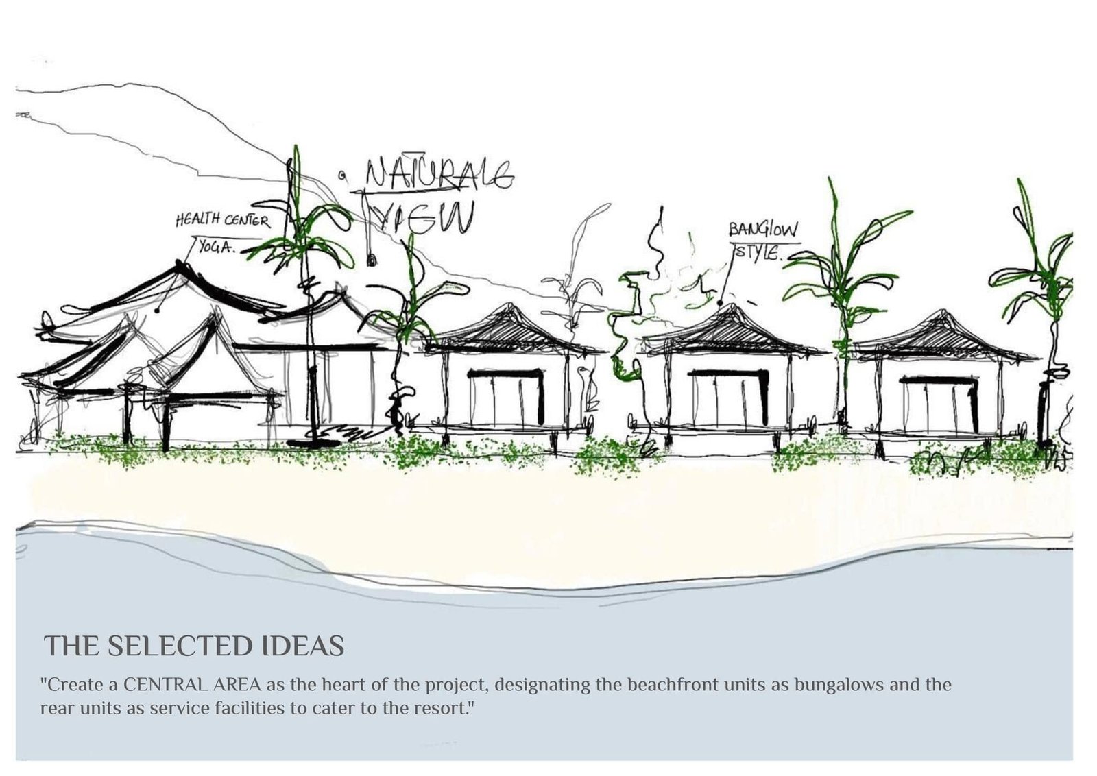 Beachfront elevation sketch with low bungalow forms and palm trees.