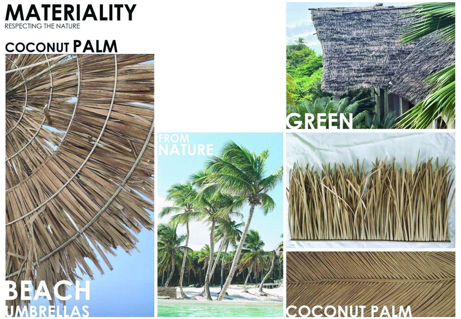 Coconut-palm reference collage showing thatch, beach umbrellas and roof materials.