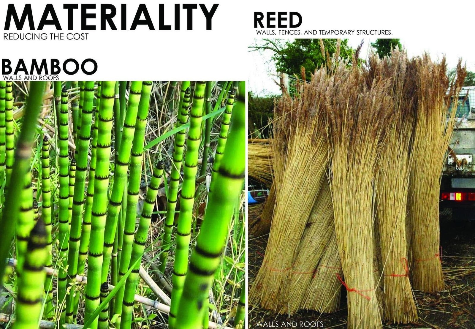 Material palette slide showing bamboo poles and bundled reeds.