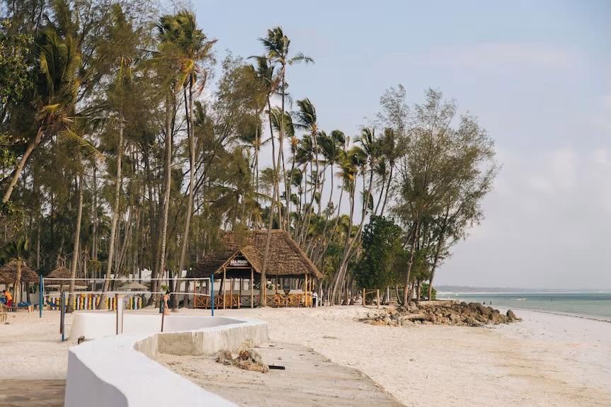 Royal Mandrine Resort site photograph of a curving beachfront wall, palm trees, a thatched pavilion, and a volleyball net.